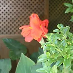 Raco Del Tosca Vandrarhem